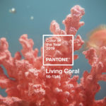 MASTROiNCHIOSTRO_stampa_grafica_web_living_coral_pantone_2019