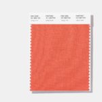 MASTROiNCHIOSTRO_stampa_grafica_web_living_coral_pantone_2019