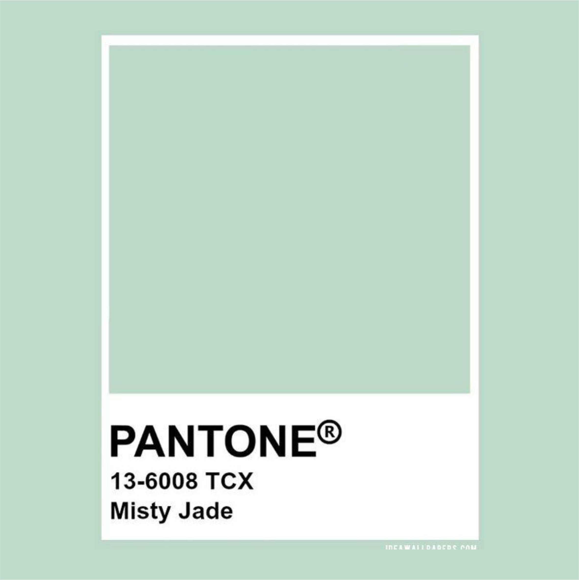 autunno 2020 MISTY jADE mastroInchiostro